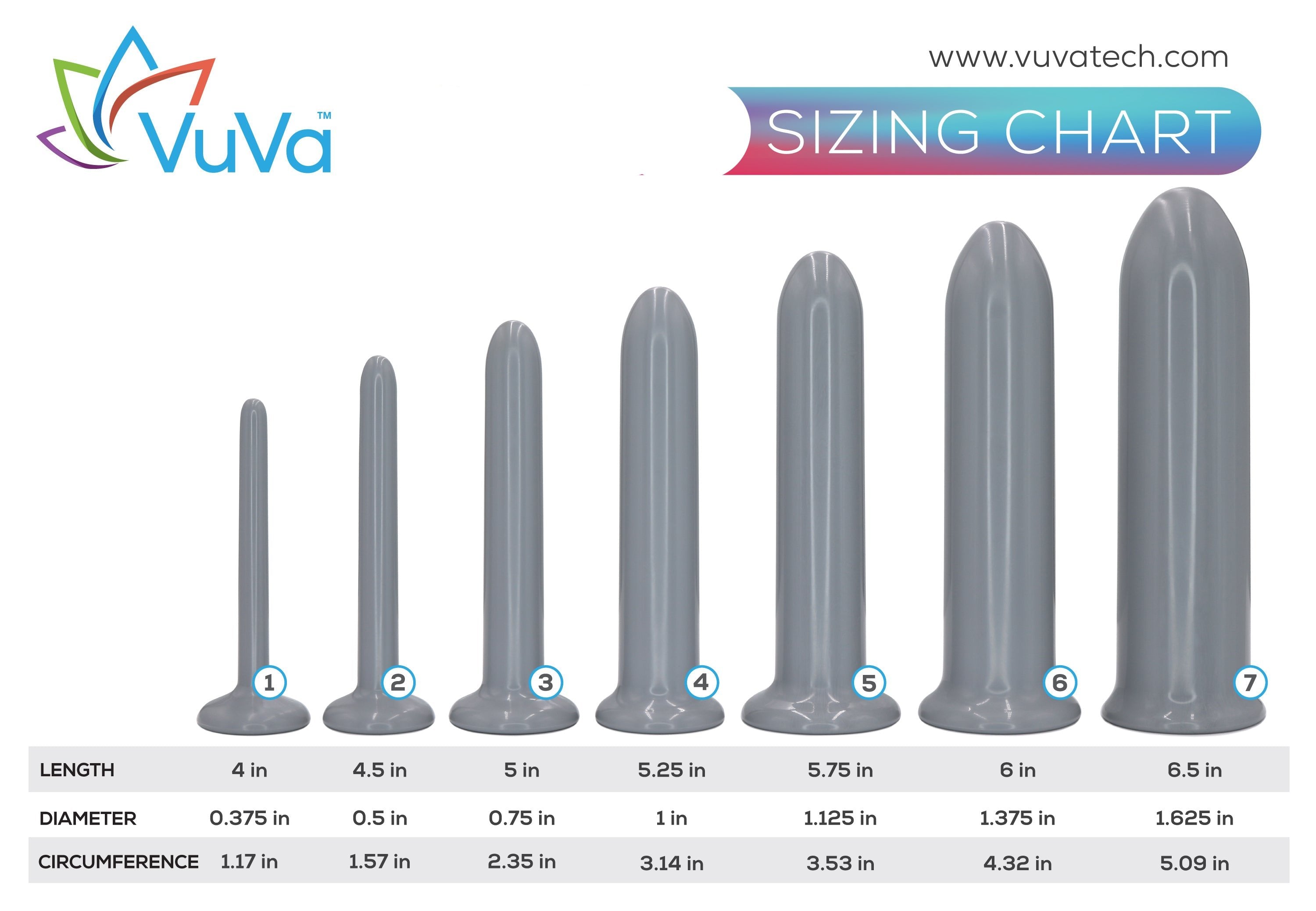 Anal Dilator Size Charts