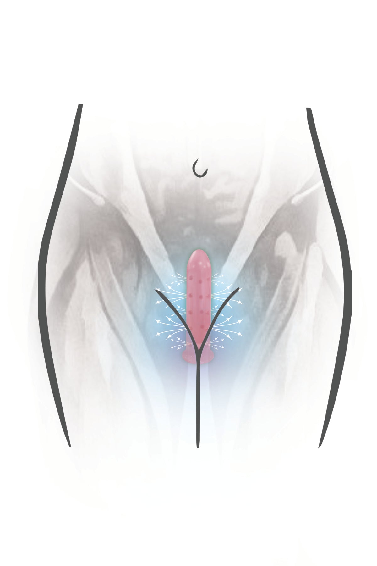 VuVa Neodymium Magnetic Set - Sizes 5,6,7 Includes Travel Pouch Vuvatech   Vaginal Dilators 